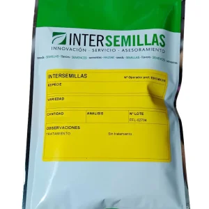 Semillas Cupressus Piramidalis 100g Ciprés Piramidal