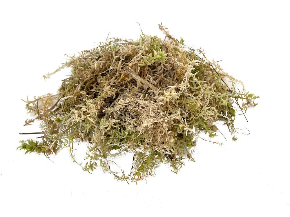 Musgo Sphagnum Humedo 250/300 Gr. - Imagen 2