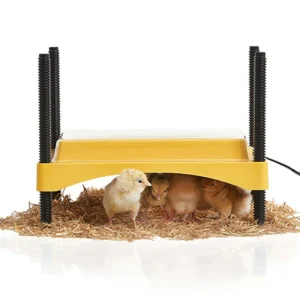 Criadora De Pollitos Brinsea Ecoglow De Bajo Consumo - 12 W - 20 Pollitos