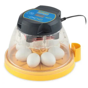 Incubadora 7 Huevos Brinsea Mini II Advance. Incubadora Automática, Digital Con Volteo Automático