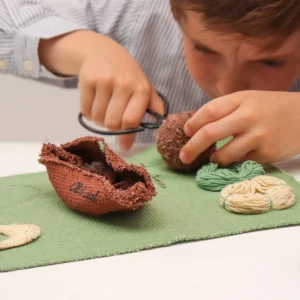 ARNOLD THE AVOCADO DIY