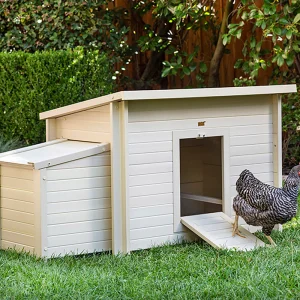 Gallinero Dallas Para Exterior - Capacidad 4-6 Gallinas - Ecoflex Material Sostenible Y Duradero. Fácil Montaje.