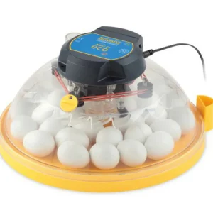 Brinsea Maxi Ii Eco - 30 Huevos De Gallina- Incubadora Analógica Con Volteo Manual