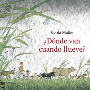 ¿DÓNDE VAN CUANDO LLUEVE?