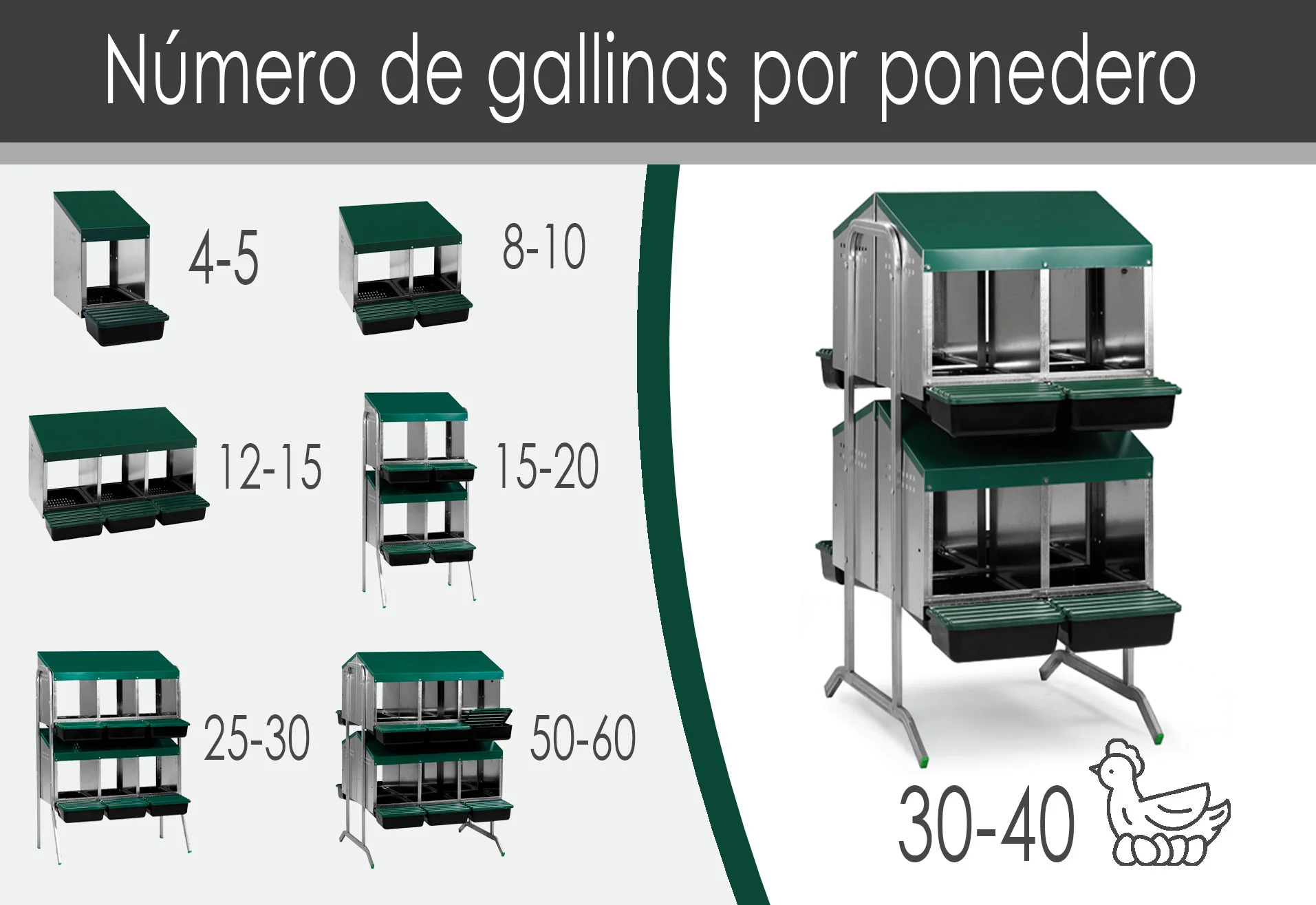 Ponedero Para Gallinas Con Cajón Escamoteador - 8 Huecos - Imagen 2