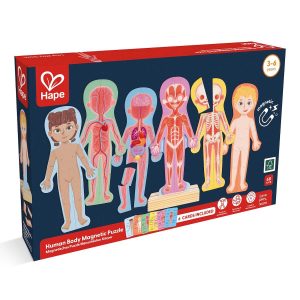 Puzzle Magnético Human Body Hape